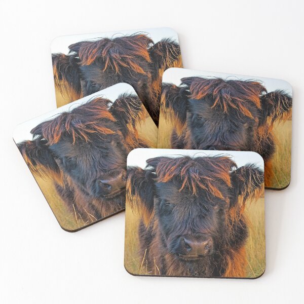 Item preview, Highland Cow designed and sold by Rick Knowles Photo Art.