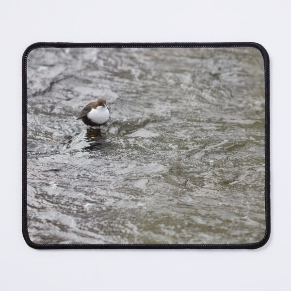 Item preview, Minimalistic view. White-throated dipper designed and sold by Jouko Lehto Photography.