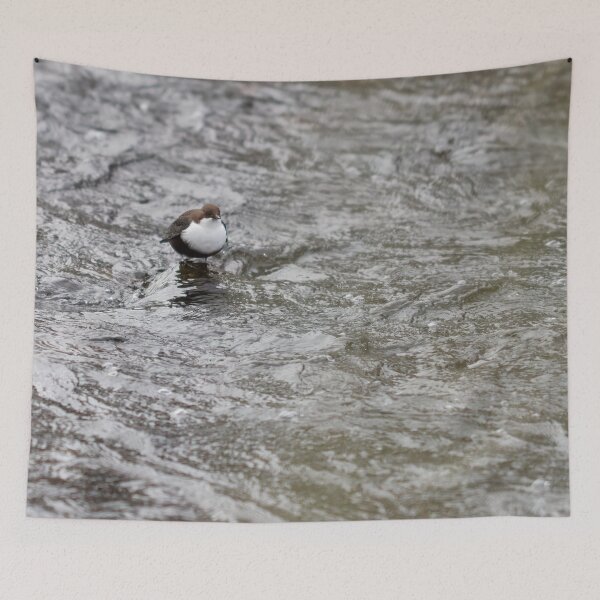 Item preview, Minimalistic view. White-throated dipper designed and sold by Jouko Lehto Photography.