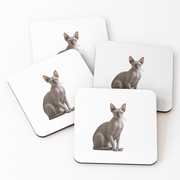 Item preview, Sphynx cat, hairless cat beauty designed and sold by Coolparrotgirl.