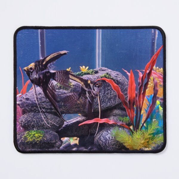 Item preview, Colorful Fish In The Aquarium designed and sold by PAILLEADER.