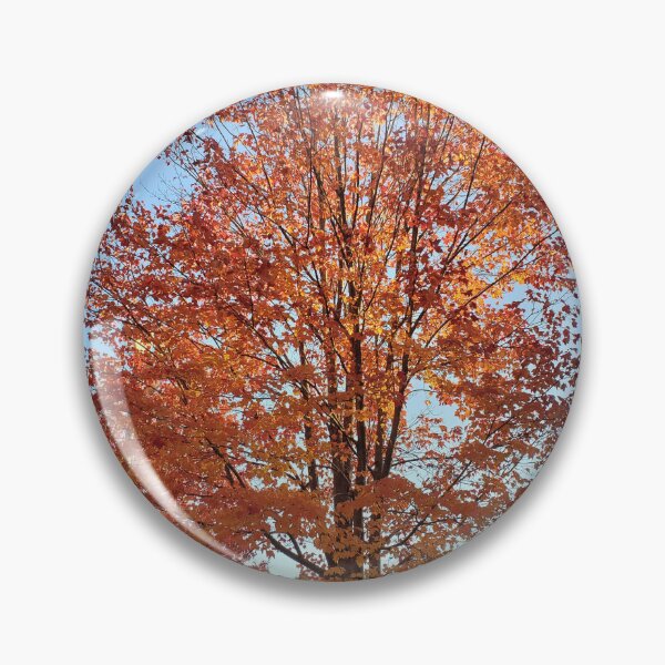 Artikelvorschau, Orange Autumn Tree entworfen und verkauft von PAILLEADER.