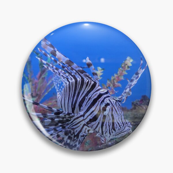 Item preview, Zebra Fish Underwater designed and sold by PAILLEADER.