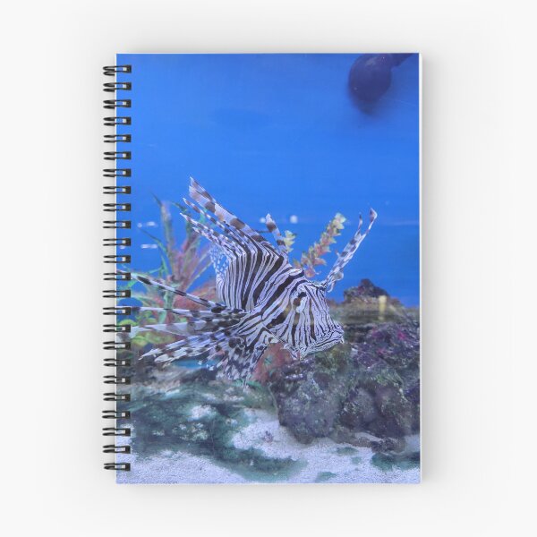 Item preview, Zebra Fish Underwater designed and sold by PAILLEADER.