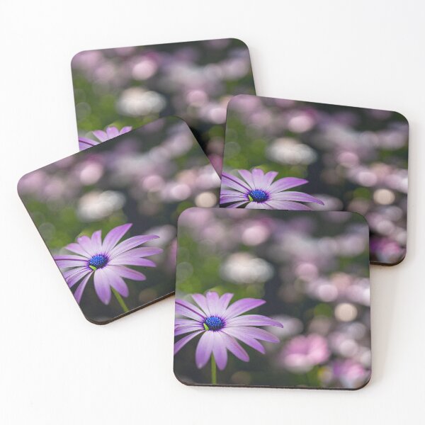 Item preview, A field of daisies forever designed and sold by Geraldine Holly.
