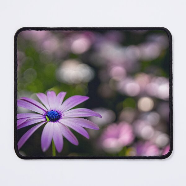 Item preview, A field of daisies forever designed and sold by Geraldine Holly.