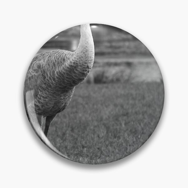 Item preview, Sandhill Crane At Orlando Wetlands Park Black And White designed and sold by MercerImages.