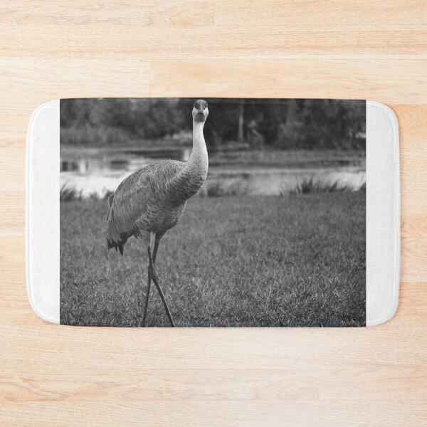 Item preview, Sandhill Crane At Orlando Wetlands Park Black And White designed and sold by MercerImages.