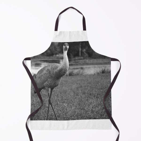 Item preview, Sandhill Crane At Orlando Wetlands Park Black And White designed and sold by MercerImages.