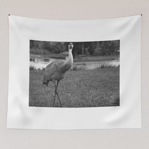 Item preview, Sandhill Crane At Orlando Wetlands Park Black And White designed and sold by MercerImages.