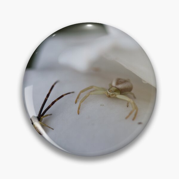 Item preview, Male and Female Crab Spiders on White Rose designed and sold by LeighMilesArt.