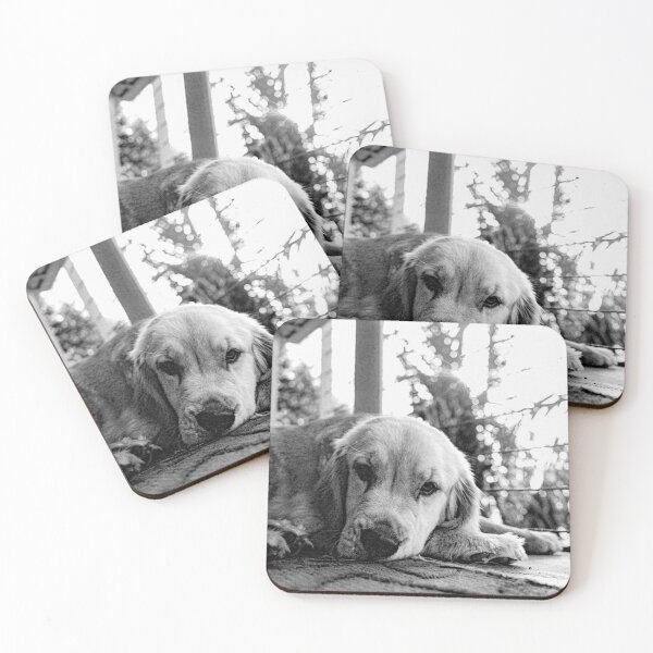 Item preview, 'Zolá on film designed and sold by thegoldenratio4.