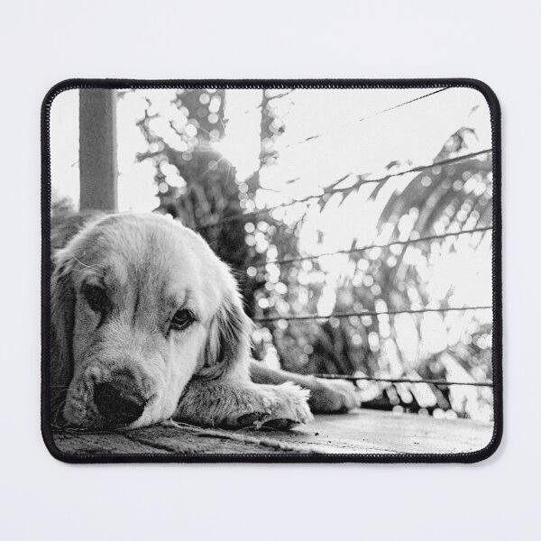 Item preview, 'Zolá on film designed and sold by thegoldenratio4.