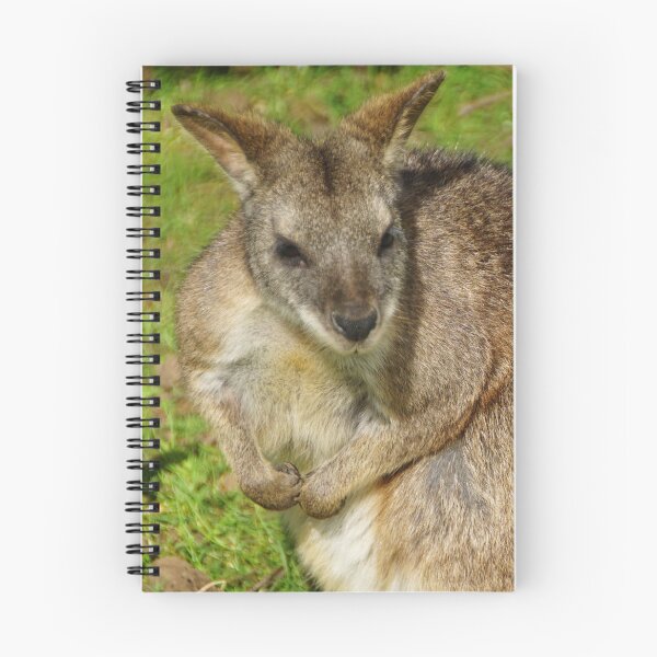 Item preview, Parma Wallaby designed and sold by RJKYTE1970.