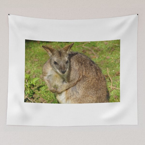 Item preview, Parma Wallaby designed and sold by RJKYTE1970.