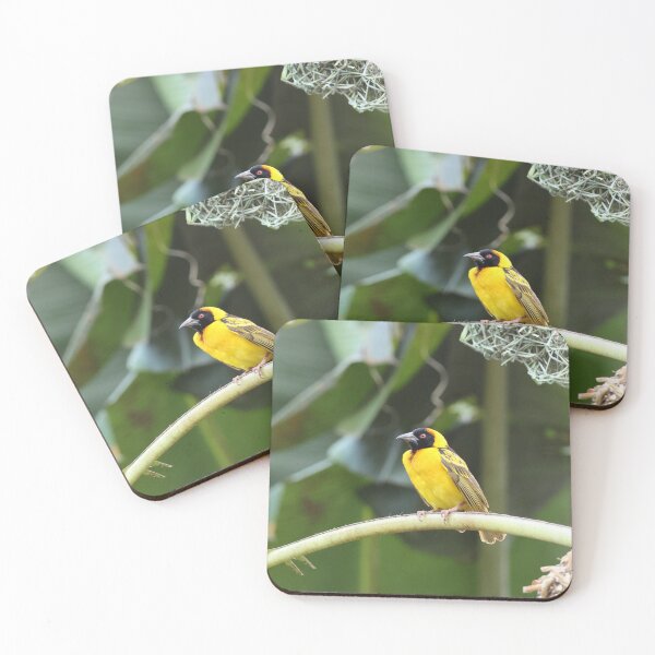 Item preview, Proud Weaver Bird designed and sold by Proud & Pretty Wildlife Photography.