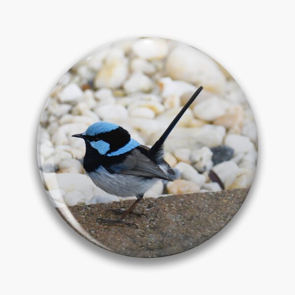 Item preview, Little Blue Superb Fairywren designed and sold by imaginethis.