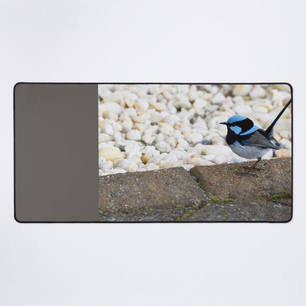 Item preview, Little Blue Superb Fairywren designed and sold by imaginethis.