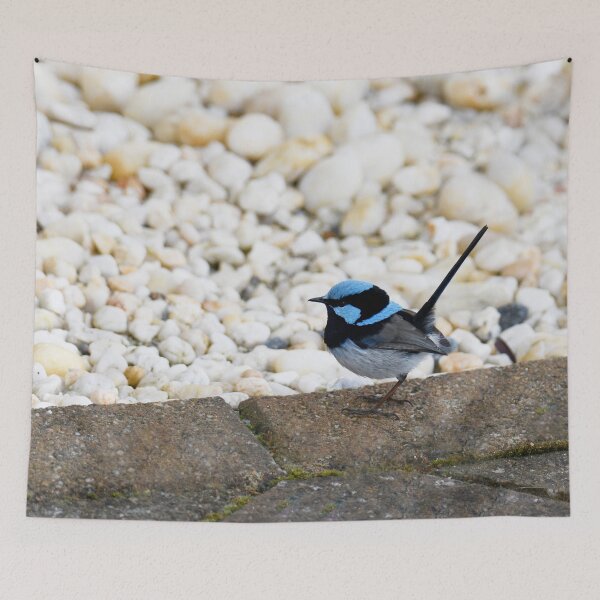 Item preview, Little Blue Superb Fairywren designed and sold by imaginethis.