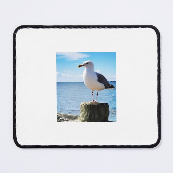 Item preview, Seagull designed and sold by Christina and Juliana Creations.