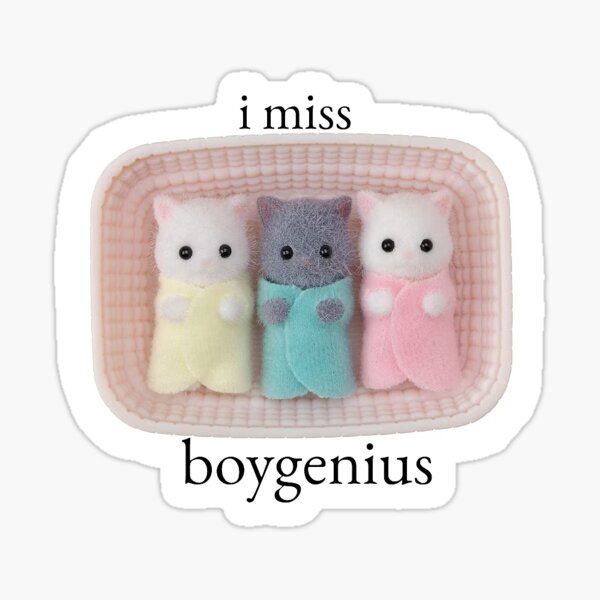 Artikel-Vorschau von Sylvanian Babies Boygenius, designt und verkauft von jgzechini.