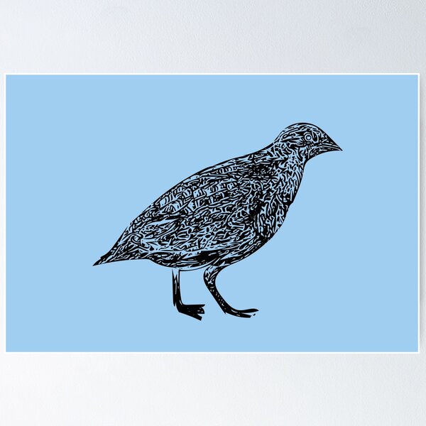 Item preview, Painted Buttonquail Black Design  designed and sold by designsasstultd.