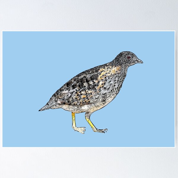 Item preview, Painted Buttonquail Black Alternate Design  designed and sold by designsasstultd.