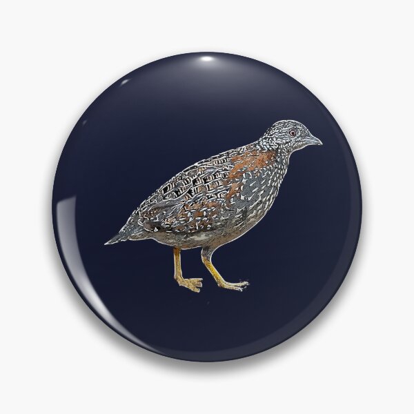 Item preview, Painted Buttonquail White Alternate Design  designed and sold by designsasstultd.