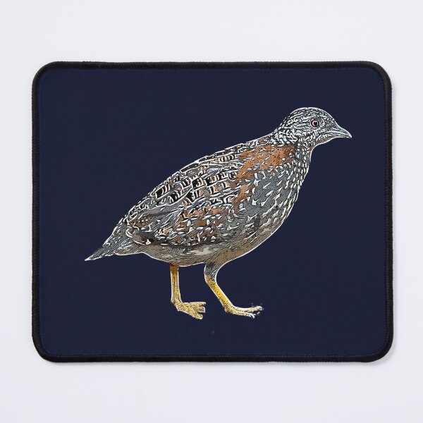 Item preview, Painted Buttonquail White Alternate Design  designed and sold by designsasstultd.