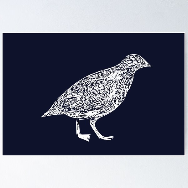 Item preview, Painted Buttonquail White Design  designed and sold by designsasstultd.