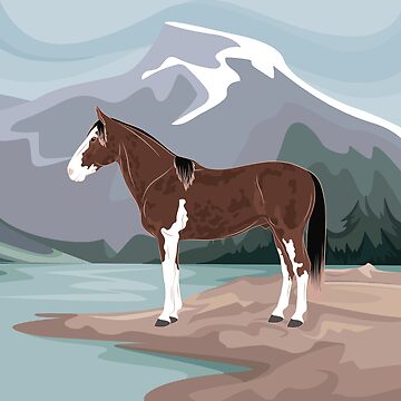 Aperçu de l'œuvre Cheval Criollo Argentin, cheval tacheté sur un fond de paysage, cheval de selle, races de chevaux de l'Argentine de WebEquitation®