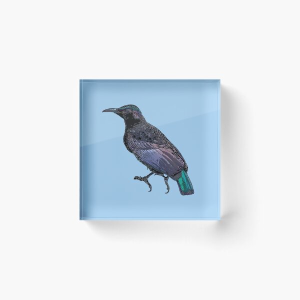 Item preview, Victoria’s Riflebird Black Alternate Design designed and sold by designsasstultd.