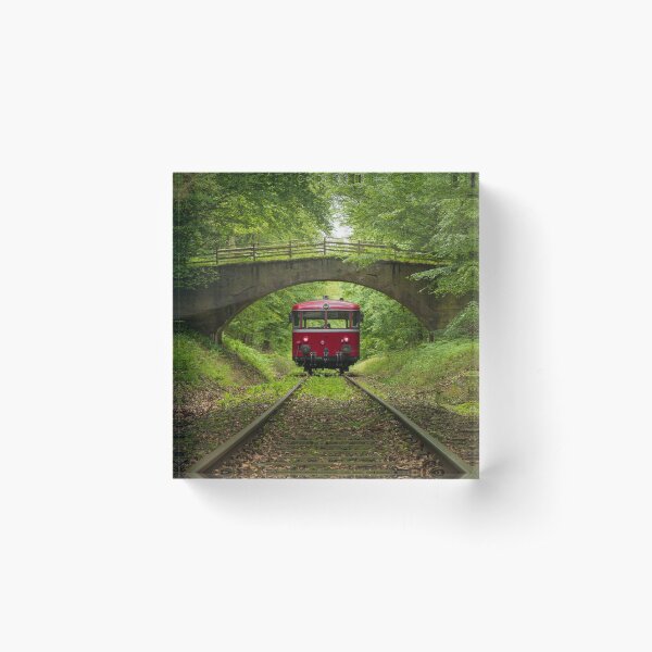 Aperçu de l'œuvre Train dans la forêt créée et vendue par ConnorQuagliana.