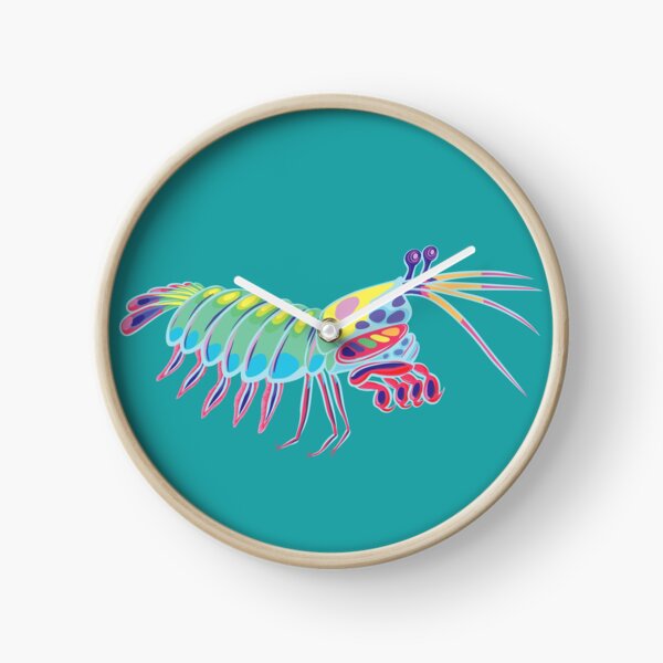 Peacock Rainbow Mantis Shrimp Clock