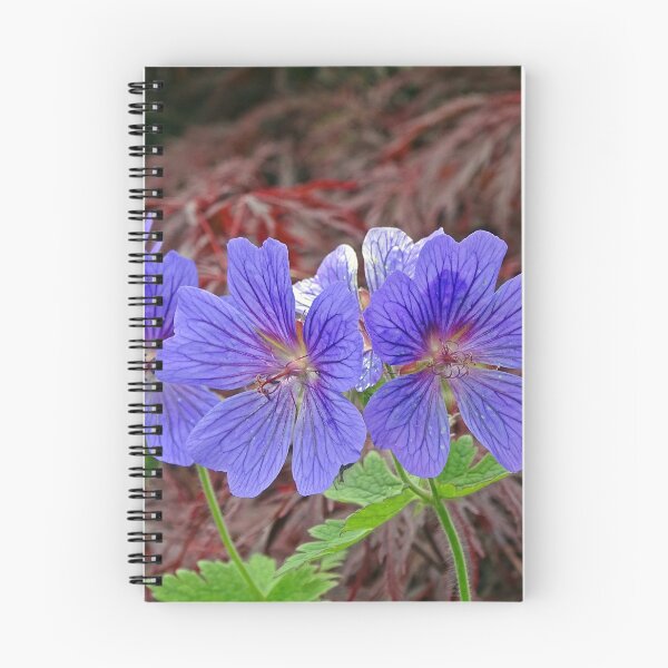 Item preview, Cranesbill Amongst the Acer designed and sold by Barrie Woodward.