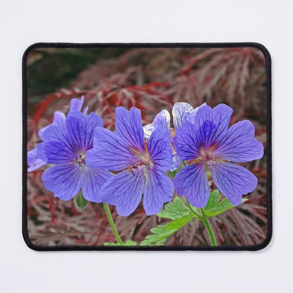 Item preview, Cranesbill Amongst the Acer designed and sold by Barrie Woodward.