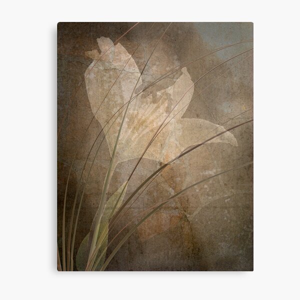 Painted Lily Metal Print