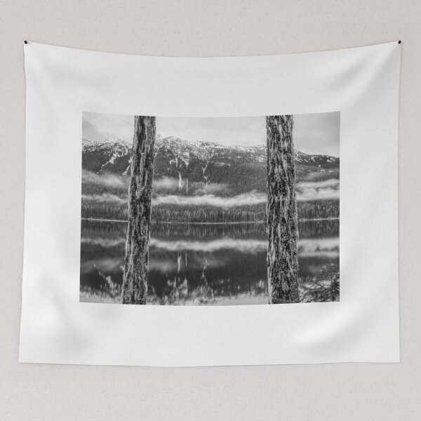 Item preview, Buttle Lake Framed Vancouver Island designed and sold by LarsOlofPhoto.