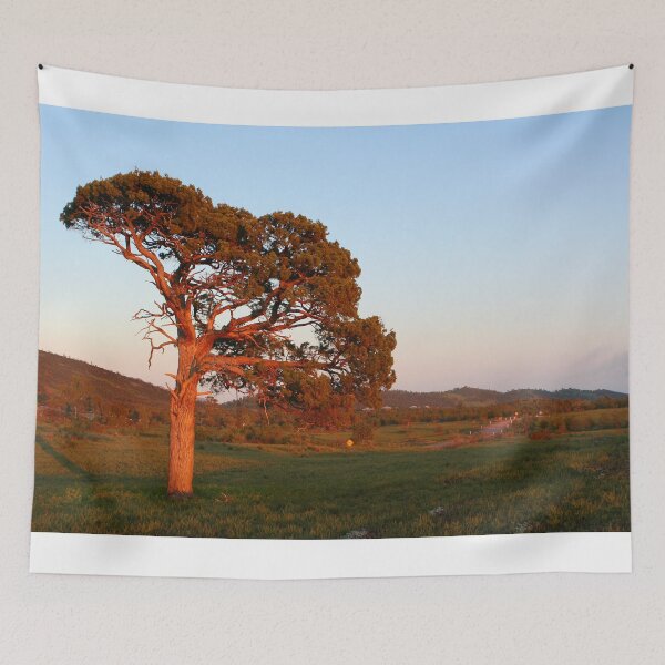 Item preview, Lone tree at sunrise designed and sold by FranWest.