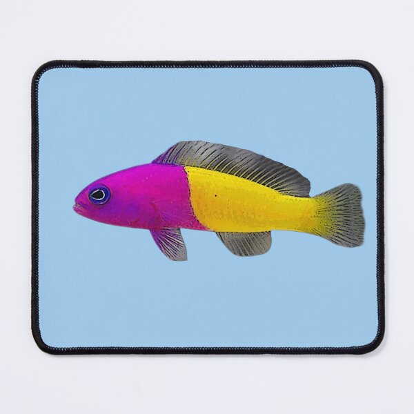 Item preview, Royal Dottyback Color Design designed and sold by designsasstultd.
