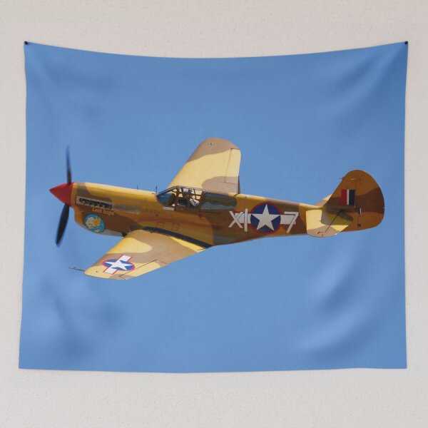 Item preview, Curtiss P-40F Warhawk designed and sold by MartinPhotos.