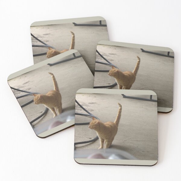 Item preview, Olliver designed and sold by Poppy Inc.