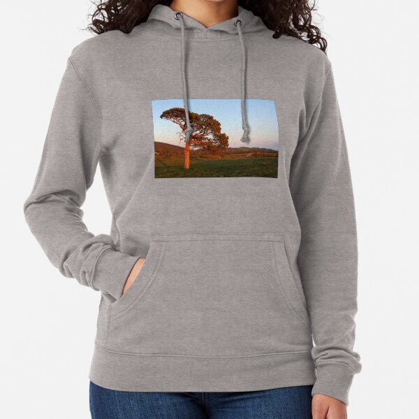 Lone tree at sunrise Lightweight Hoodie
