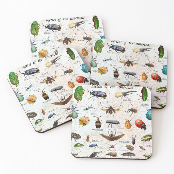 Item preview, beetles of the Americas scientific Diagram entomology poster designed and sold by wesleykshaver.