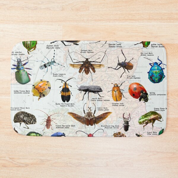 Item preview, beetles of the Americas scientific Diagram entomology poster designed and sold by wesleykshaver.