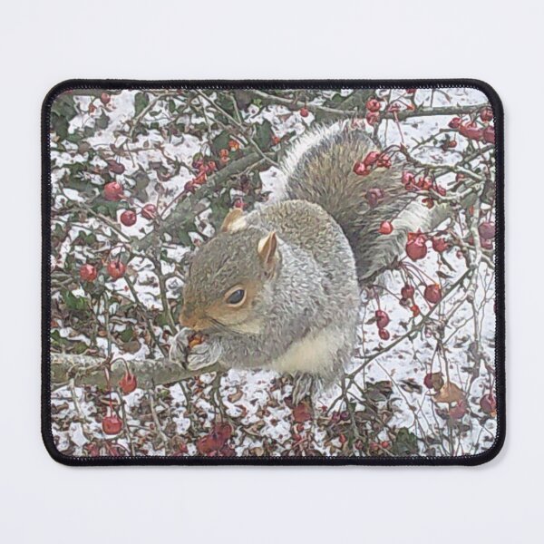 Item preview, Squirrel Munching on Berries on a Snowy Day designed and sold by shopartsyraes.