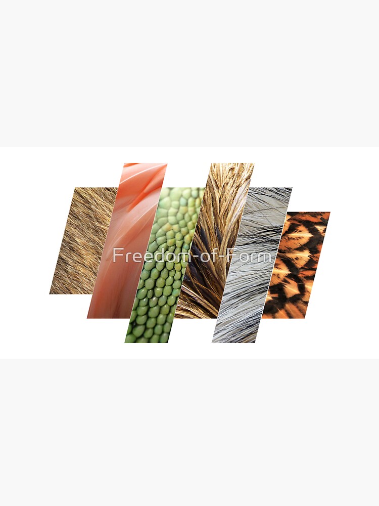 Thumbnail 7 of 7, Cap, Integument Types designed and sold by Freedom-of-Form.