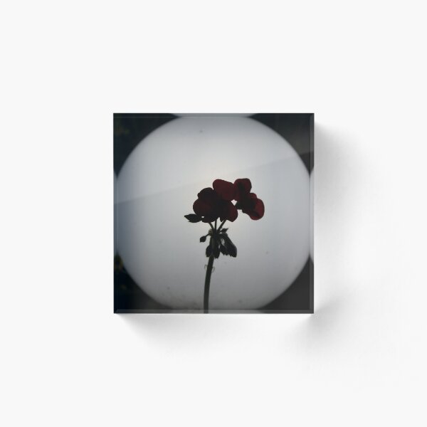 Flower in the Night Acrylic Block