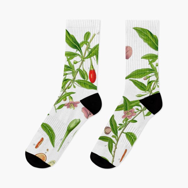 Item preview, Botanical Illustration Lycium Barbarum designed and sold by botanicalworks.