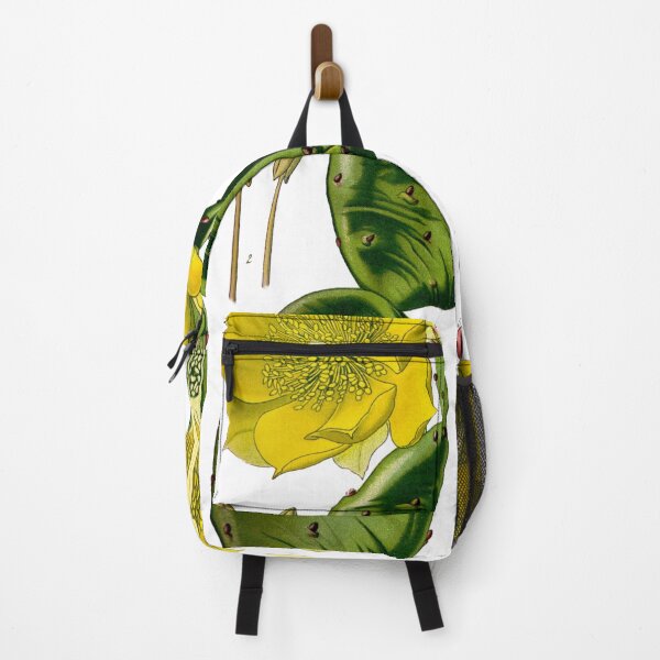 Item preview, Botanical Illustration Opuntia Vulgaris designed and sold by botanicalworks.